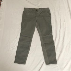 Women's Loft Sage Green Skinny Jeans 6P